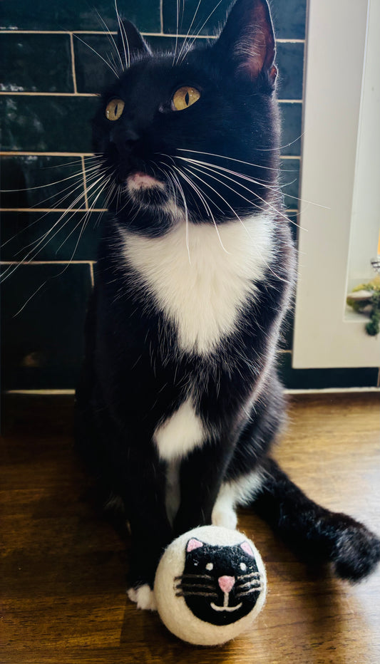 Eco Dryer Balls (Single)